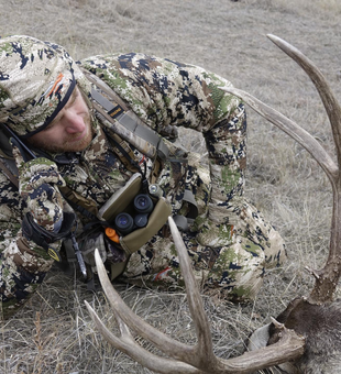 Mule Deer Hunting In Arizona